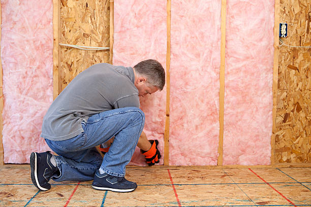 Best Insulation Air Sealing  in Clover Creek, WA